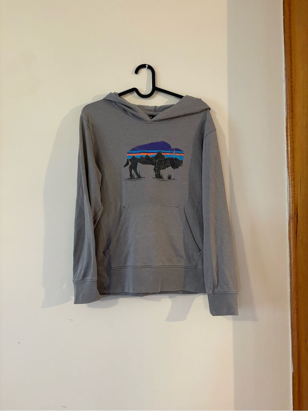 Patagonia Gray Graphic Hoodie Sweatshirt Boys XL